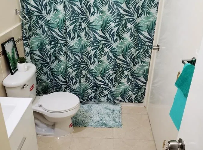 Close To Area And Airport *